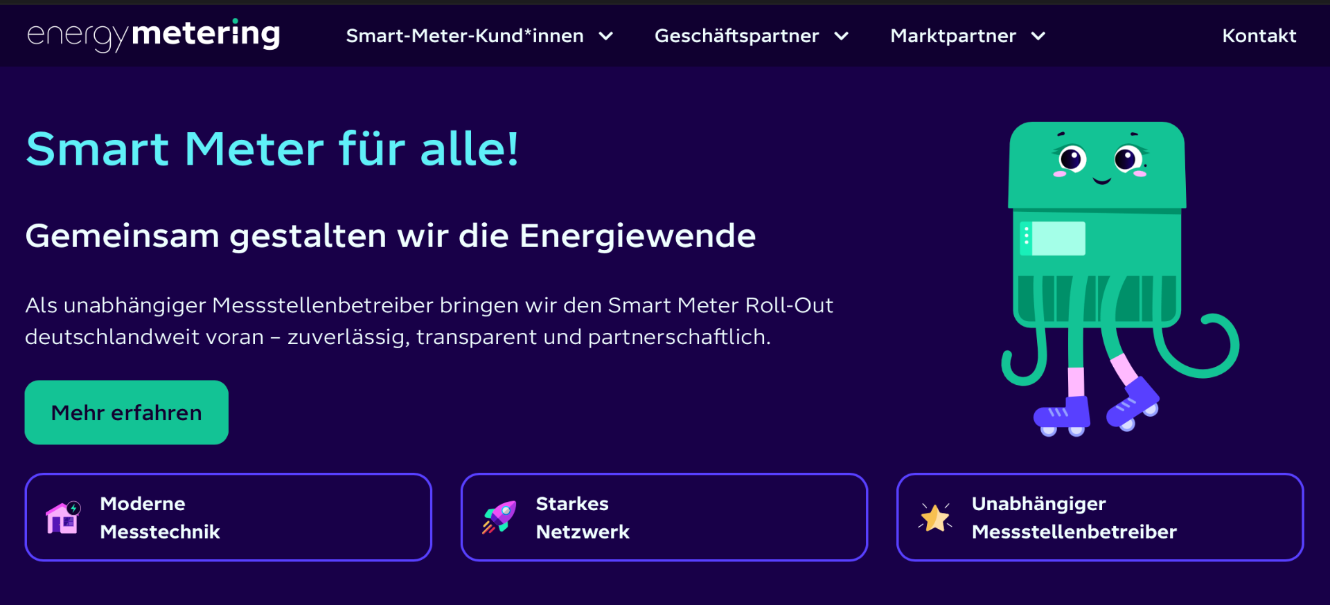 energy metering Germany Logo